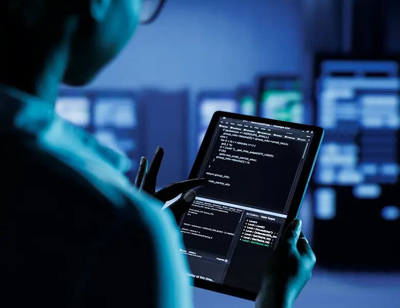 API development & integration